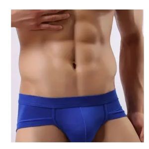 Secret Pouch Men’s Handsome Underwear Low Rise Brief Blue / Extra Large (36)